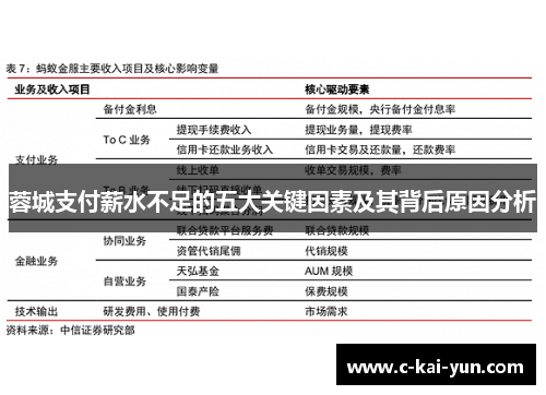 蓉城支付薪水不足的五大关键因素及其背后原因分析 蓉城支付薪水不足的五大关键因素及其背后原因分析