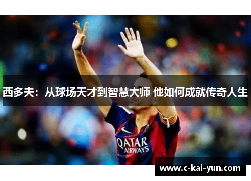 西多夫:从球场天才到智慧大师 他如何成就传奇人生 西多夫:从球场天才到智慧大师 他如何成就传奇人生
