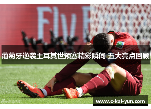 葡萄牙逆袭土耳其世预赛精彩瞬间 五大亮点回顾